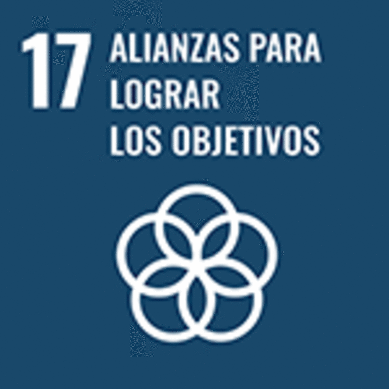 ODS 17 – Parcerias para a Implementação dos Objetivos – Agir de Forma correta